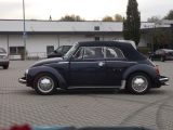 mini006