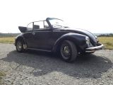 mini009